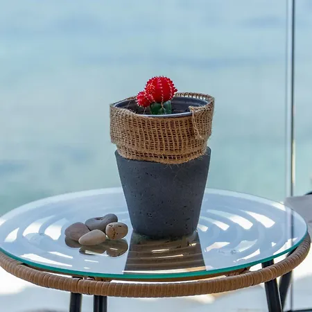 Nikos Seaside 4 شقة Agia Pelagia Chlomou