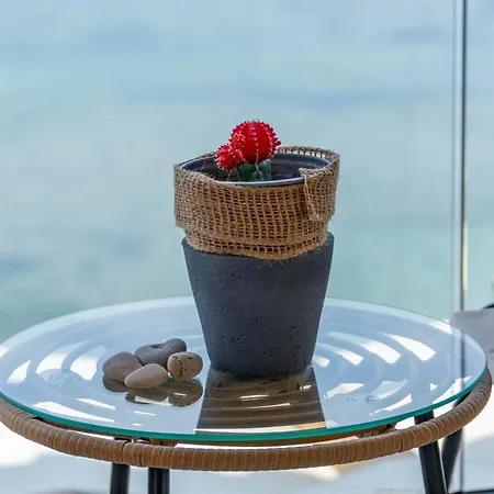 Nikos Seaside 4 Lägenhet *